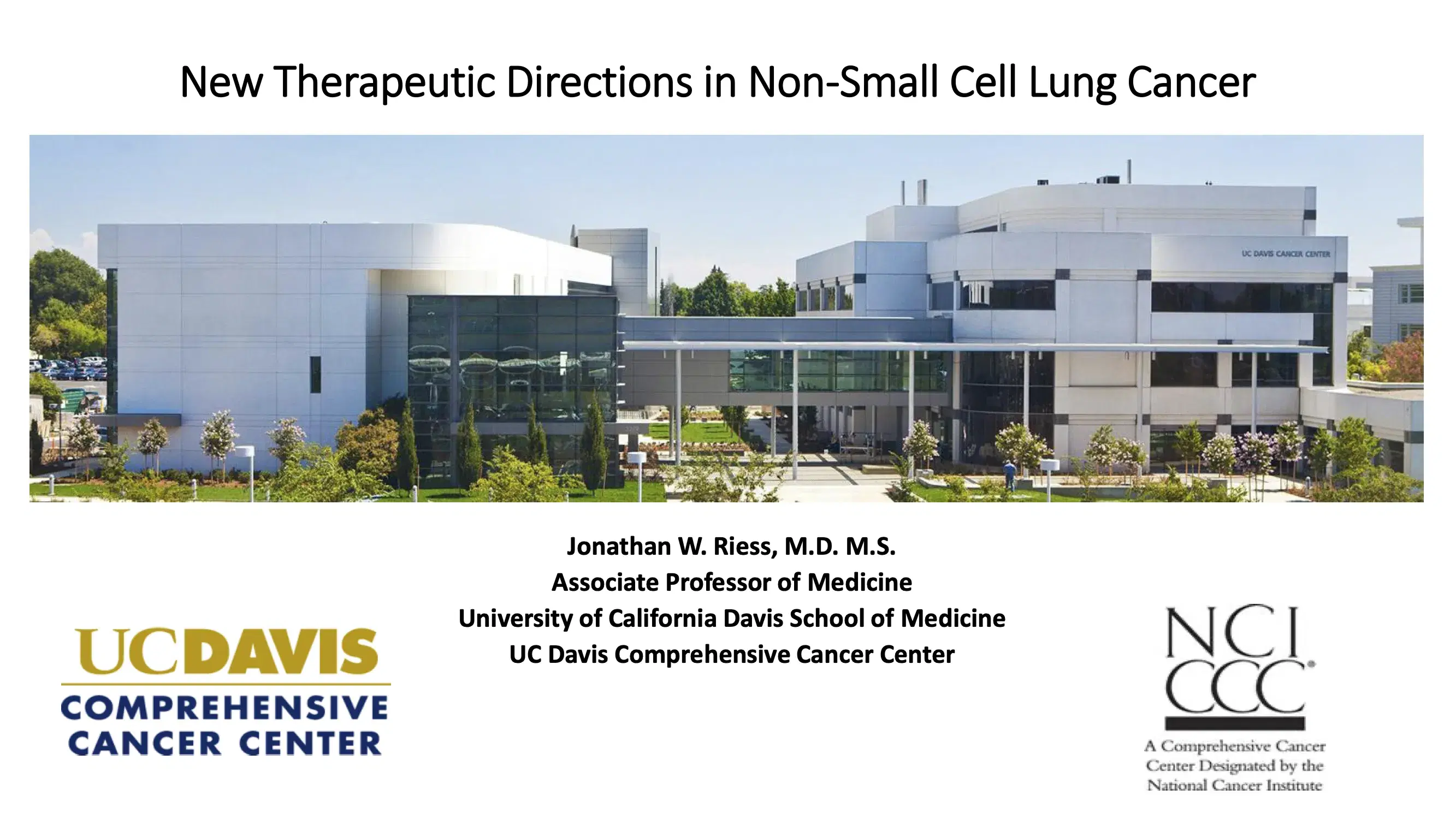 New Therapeutic Directions in Lung Cancer