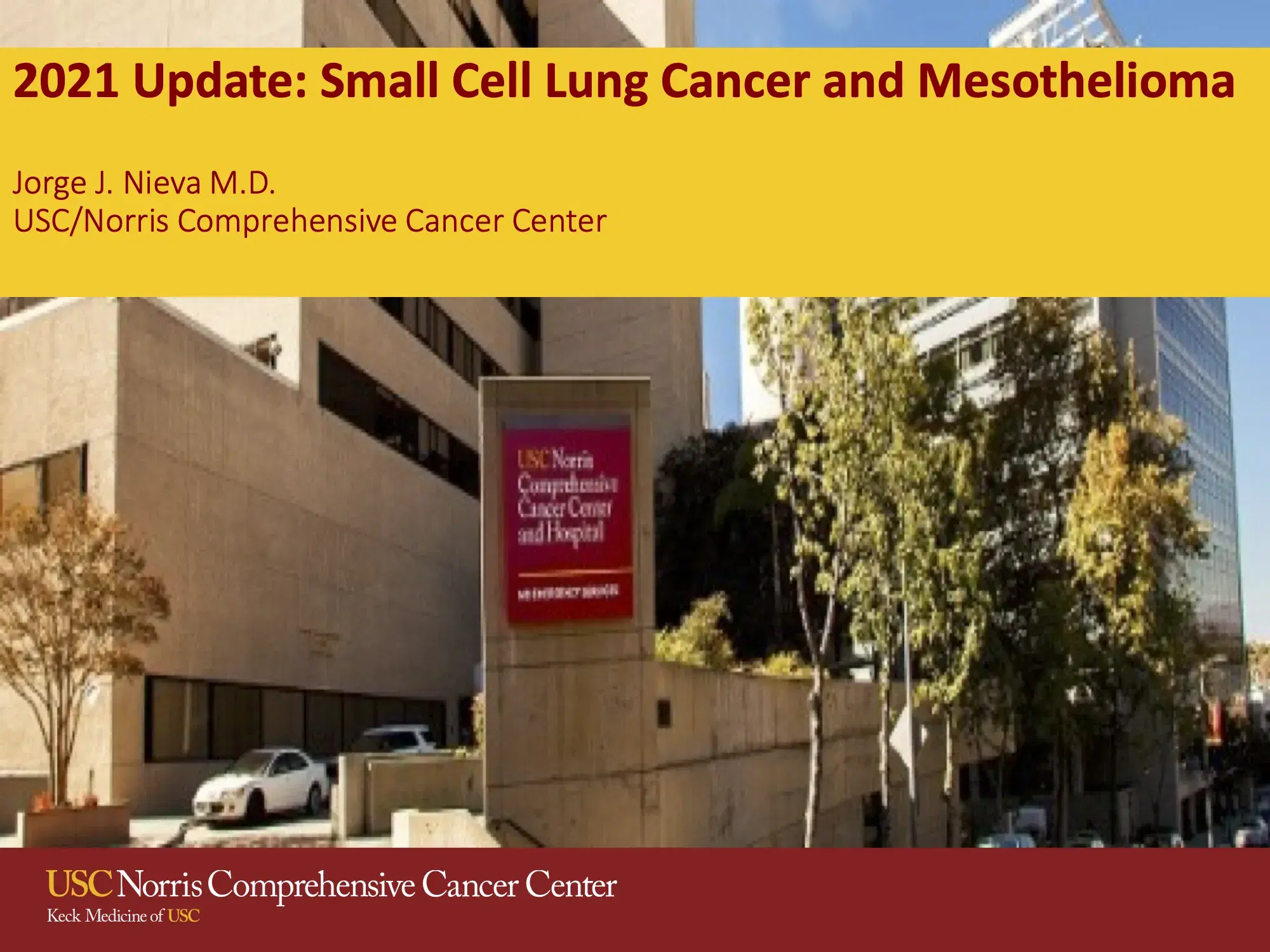 Advances in Small Cell Lung Cancer and Mesothelioma