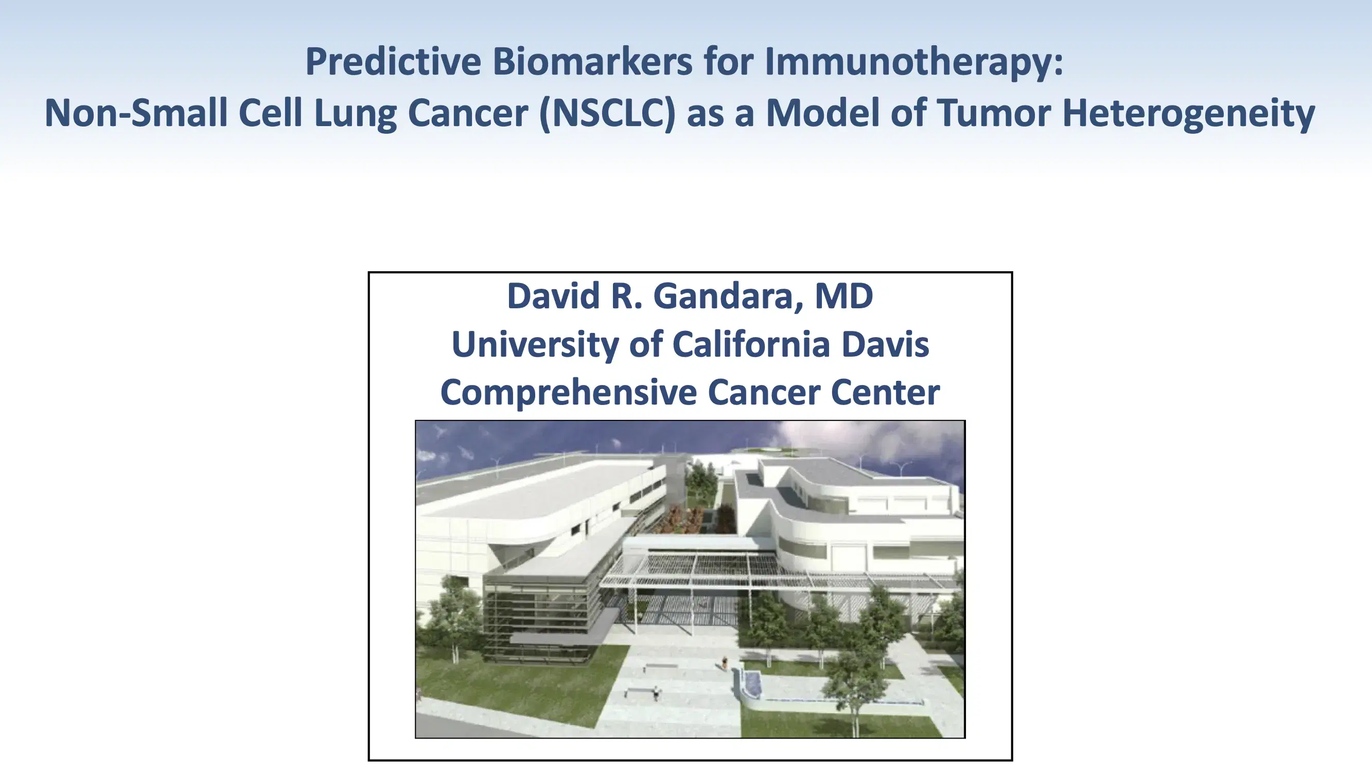 Predictive Biomarkers for Immunotherapy: Non-Small Cell Lung Cancer as a Model of Tumor Heterogeneity
