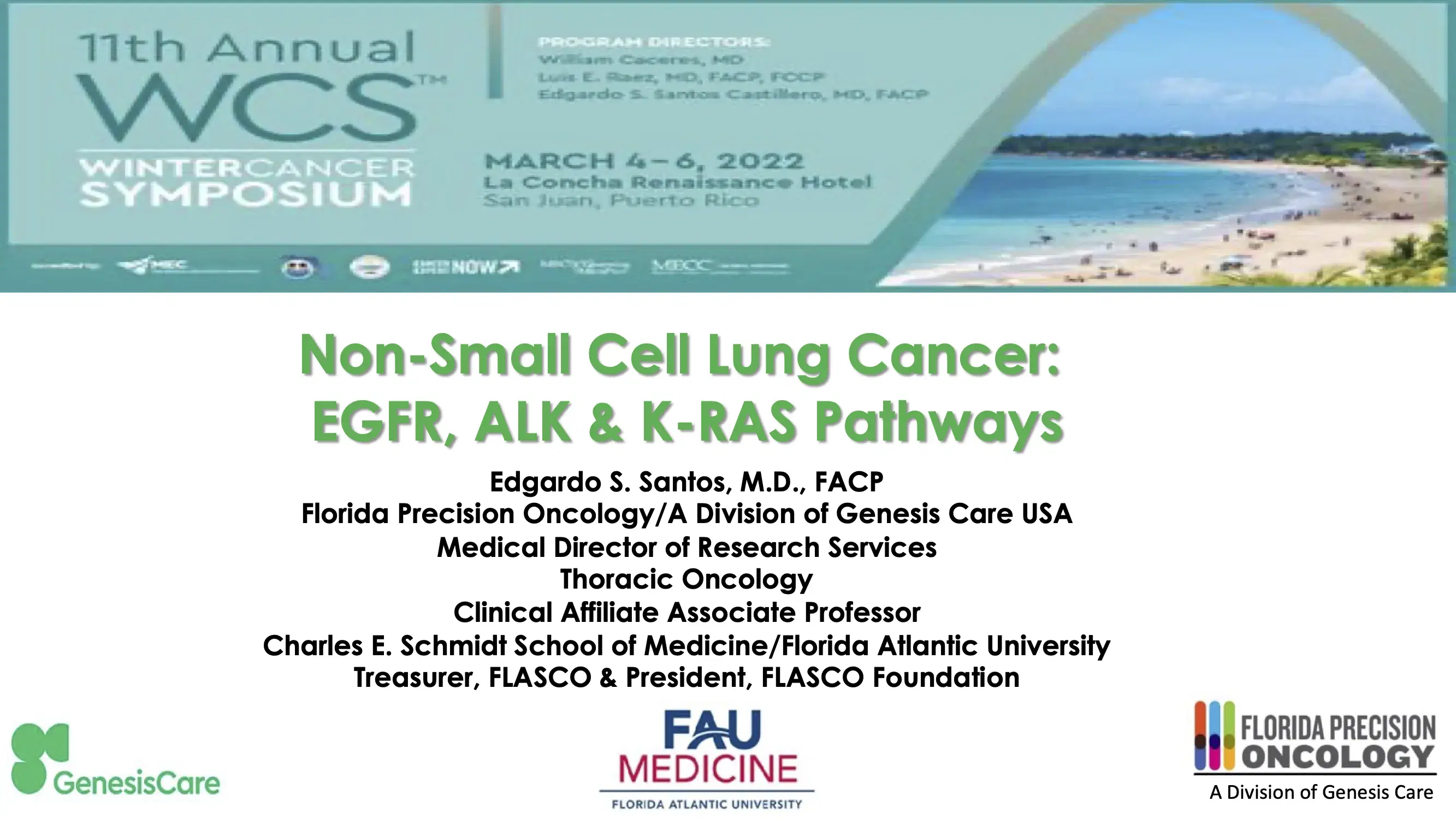 Non-Small Cell Lung Cancer: EGFR, ALK, & K-Ras Pathways