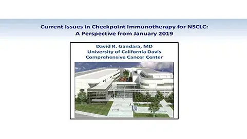 Current Issues in Checkpoint Immunotherapy for NSCLC