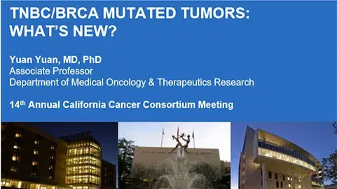 TNBC/BRCA Mutated Tumors