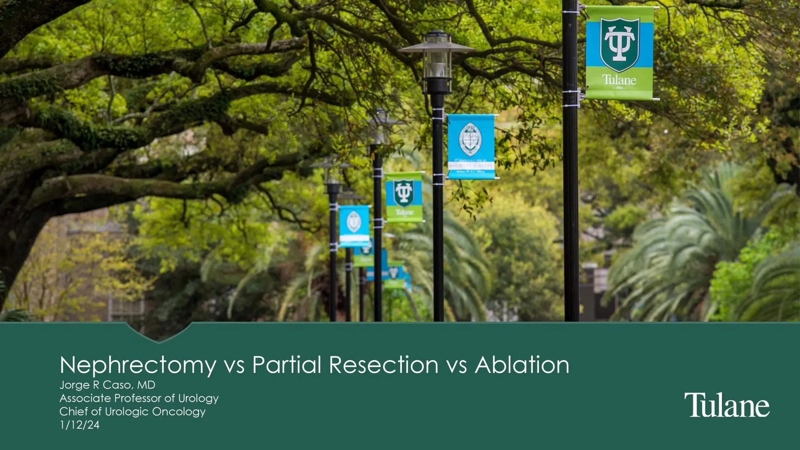 2024 SPECTRUM | Nephrectomy vs Partial resection vs Ablation